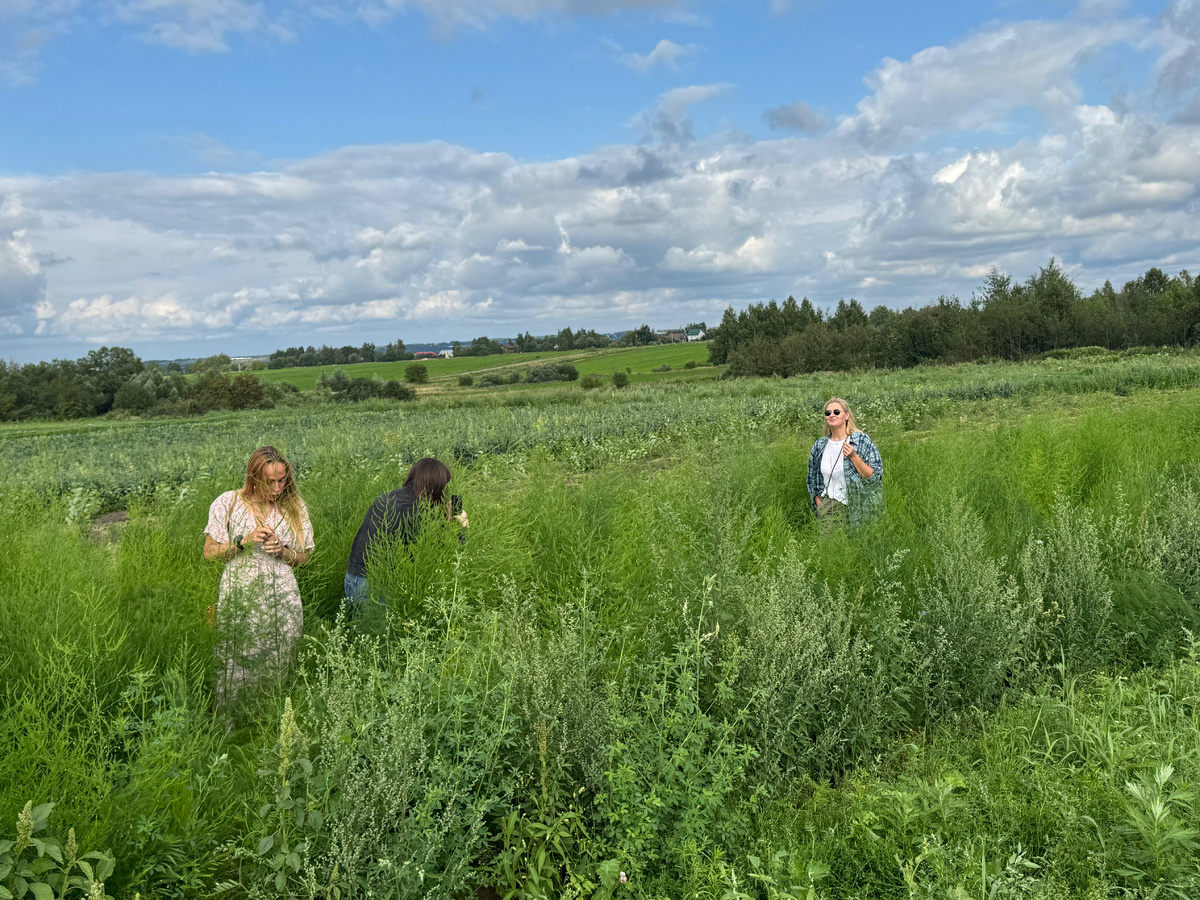 Атмосфера на ферме