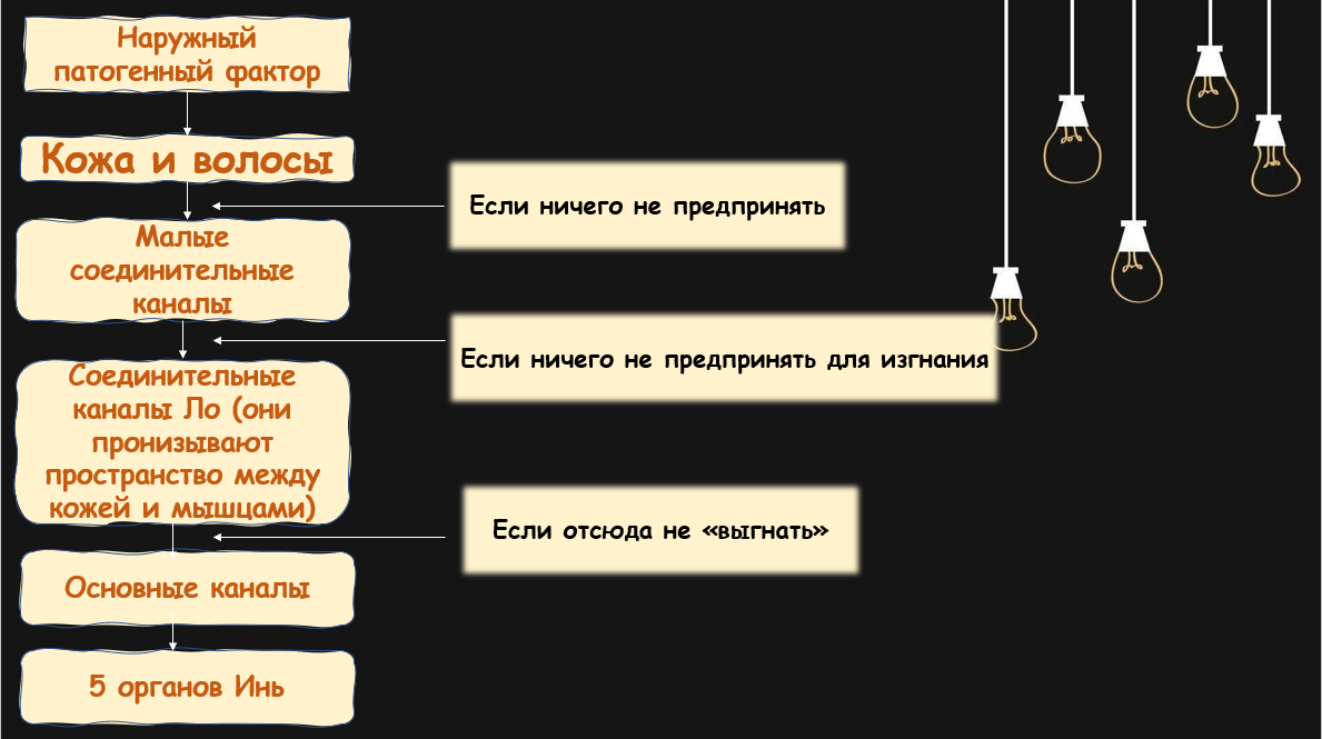 Цепочка событий, происходящих перед заболеванием