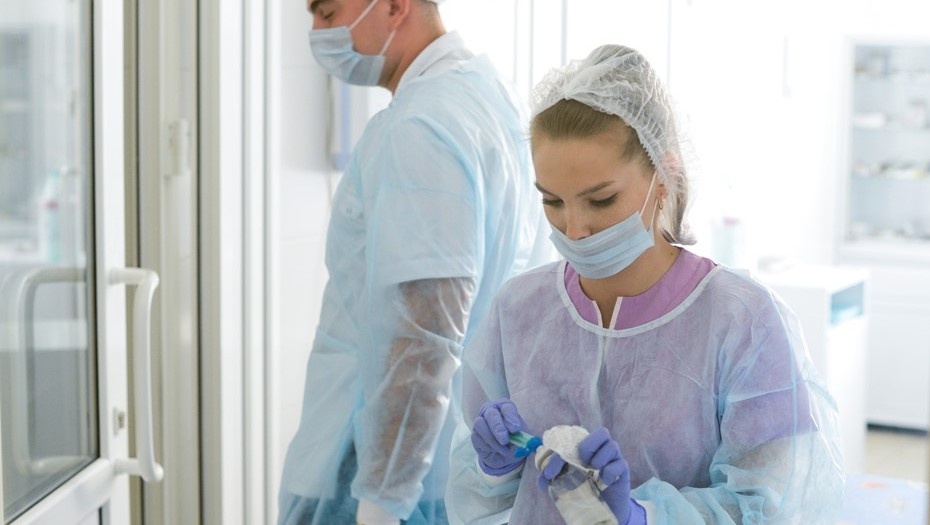    Автор фото: Ермохин Сергей/ДП