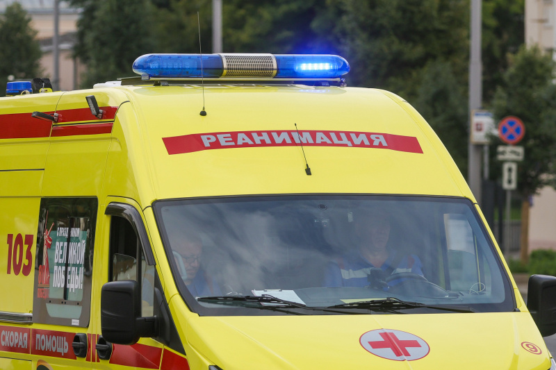    Фото: Shatokhina Natalia/Globallookpress