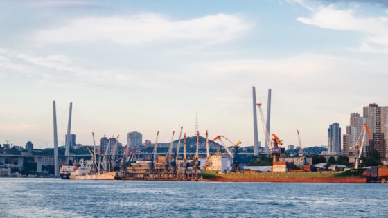     Фото: Владивостокский морской рыбный порт