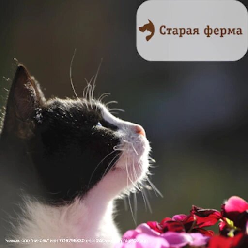   Скидка 15% на товары для животных Мария Казённова