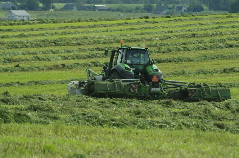   Игорь Самохвалов/ПГ