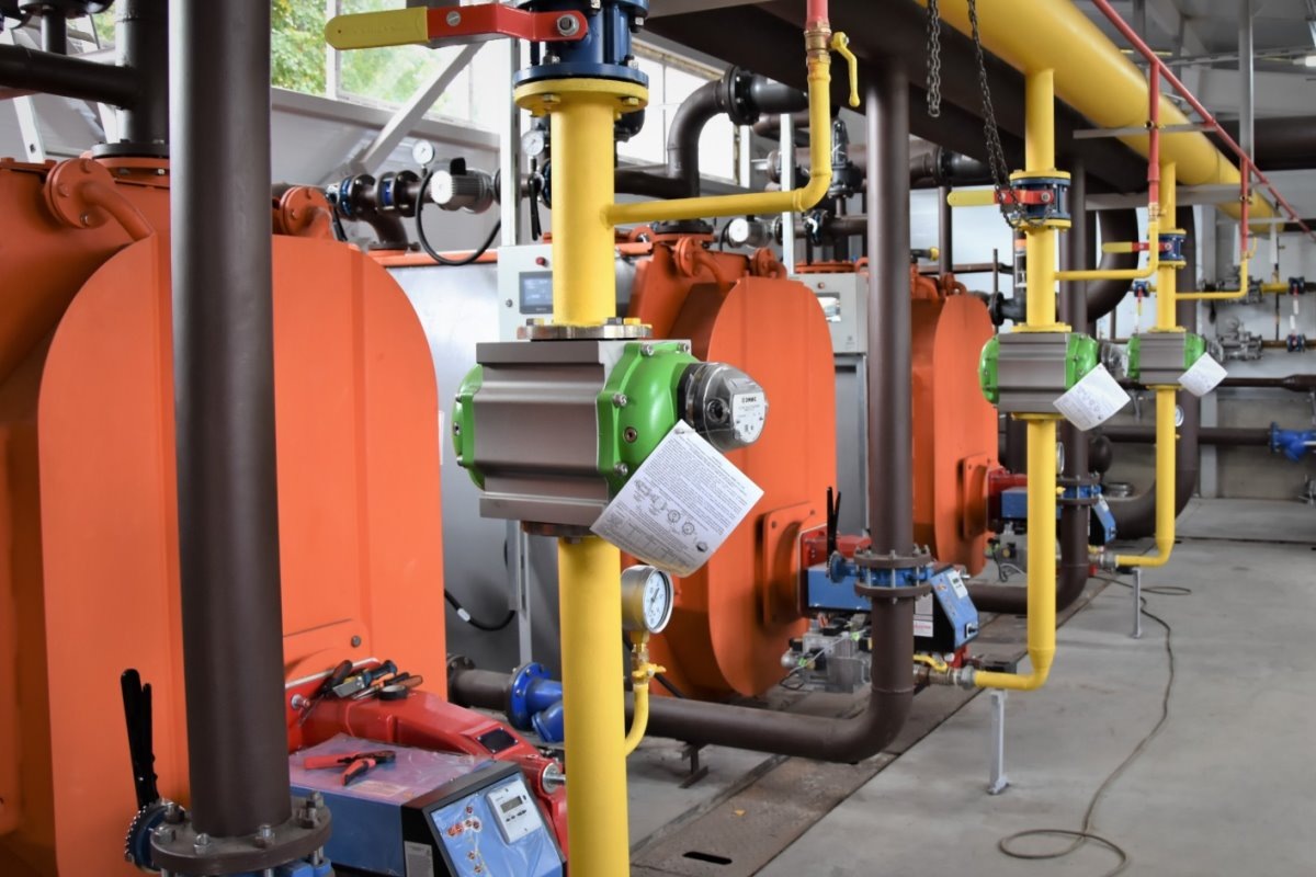    Фото: «TOP24 • Кострома», источник: kostroma.top24.news