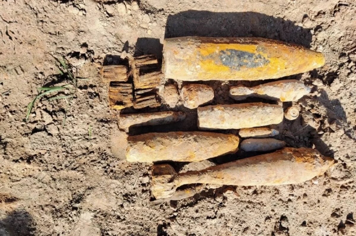    В Ржевском округе нашли 50 кг авиабомбу и огромный арсенал взрывчатки