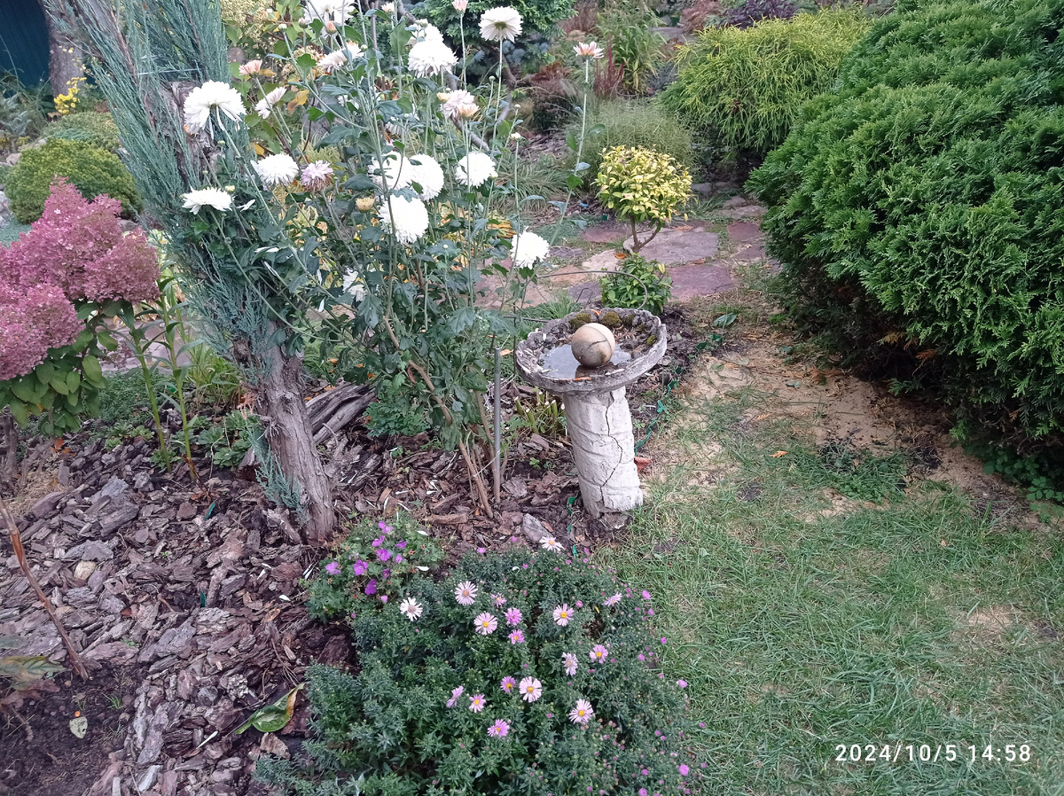 перед домом