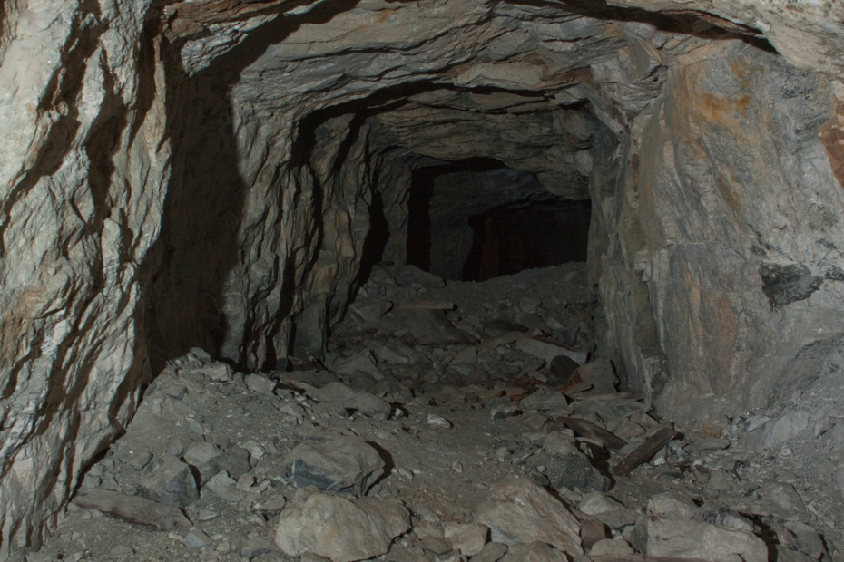    Shutterstock/FOTODOM