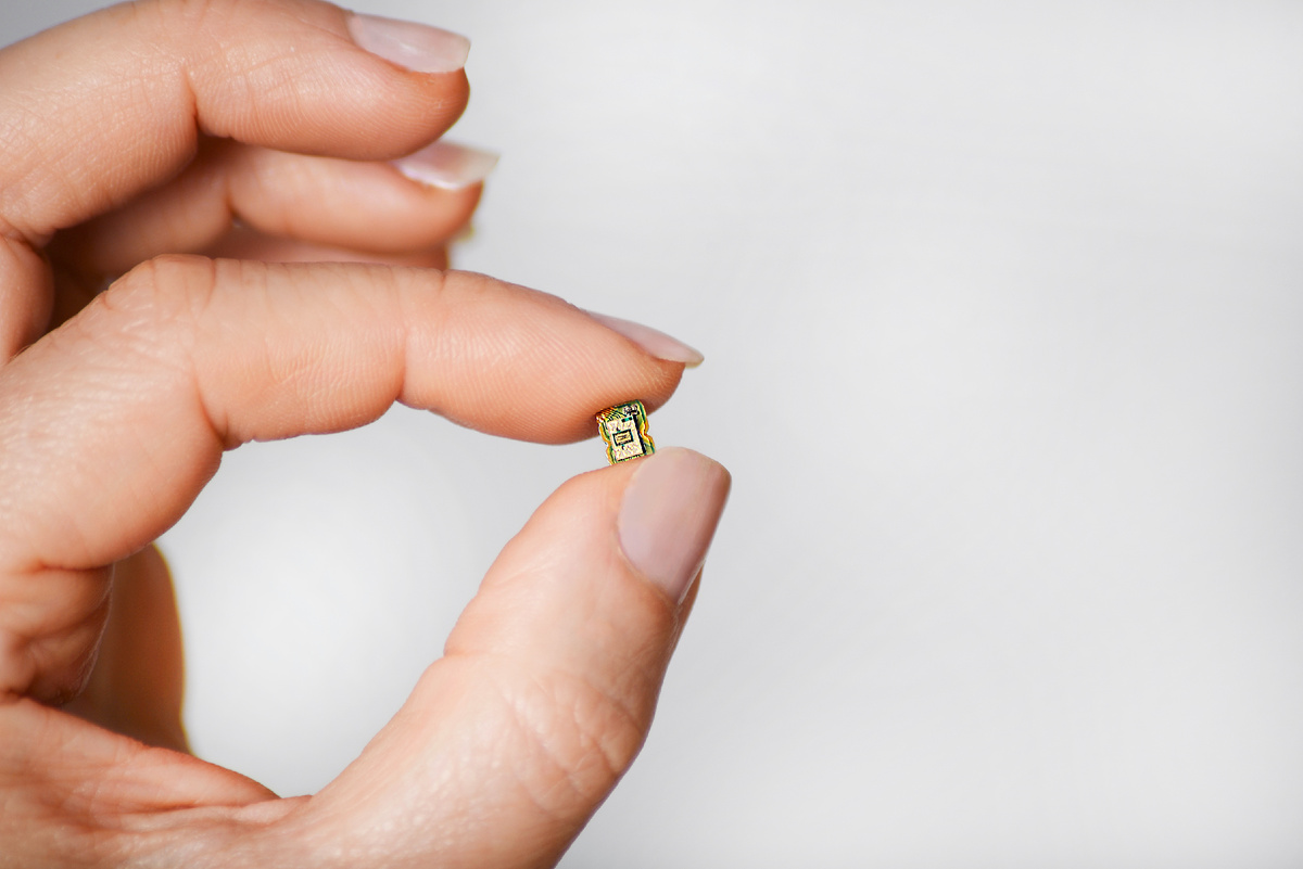 Фото: Shitterstock