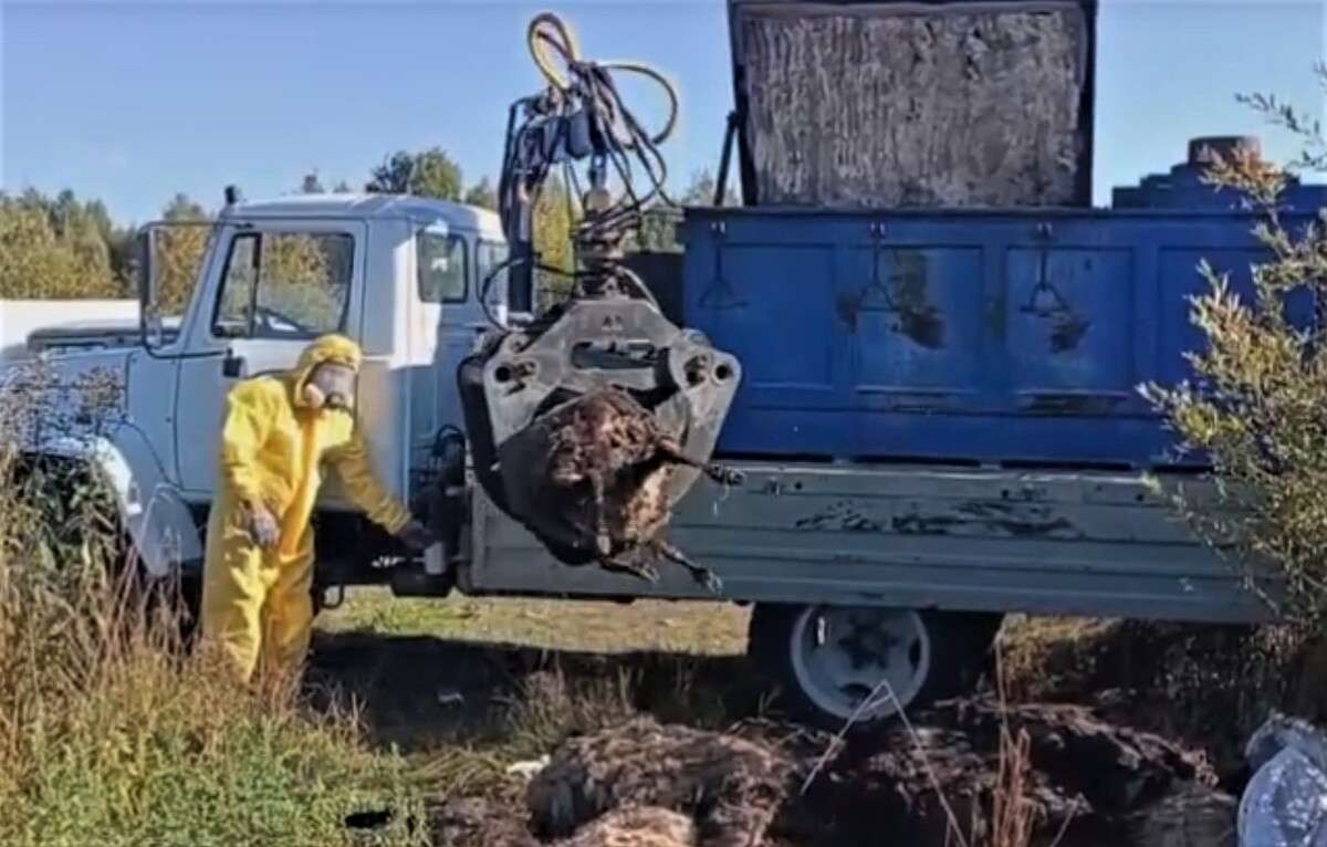     / Источник: Кадр из видео