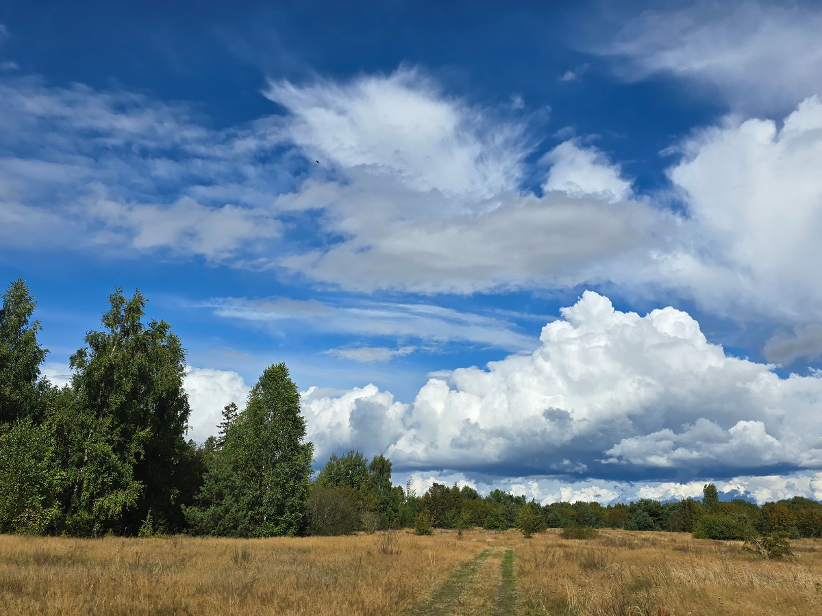 Остров Белов (Верхний), Псковское озеро