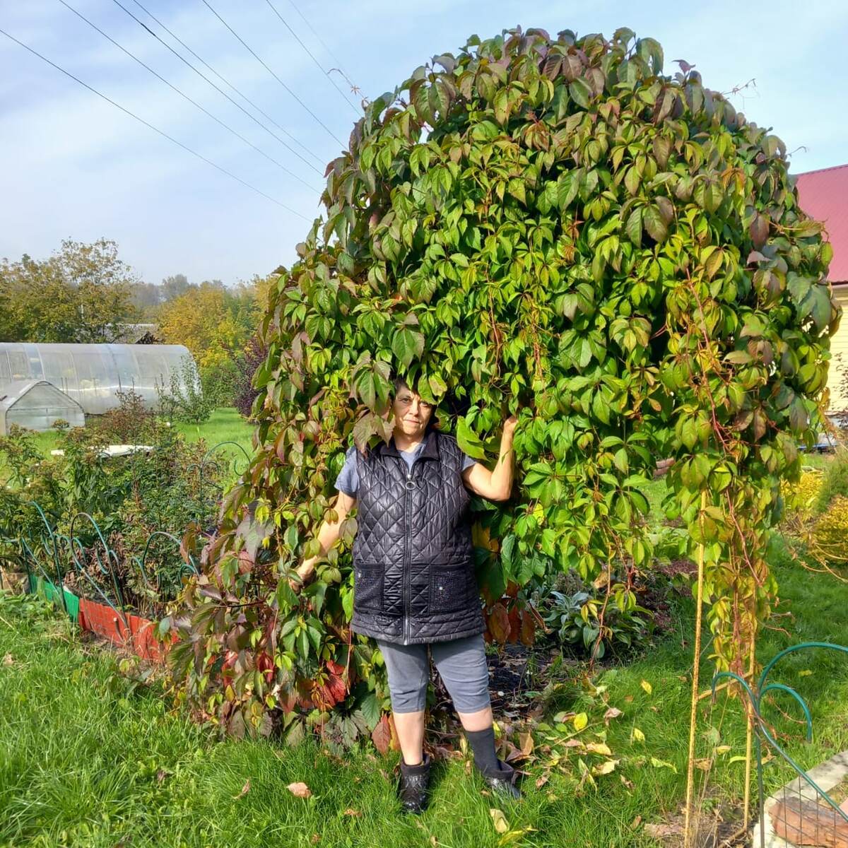 Люблю свой зеленый уголок