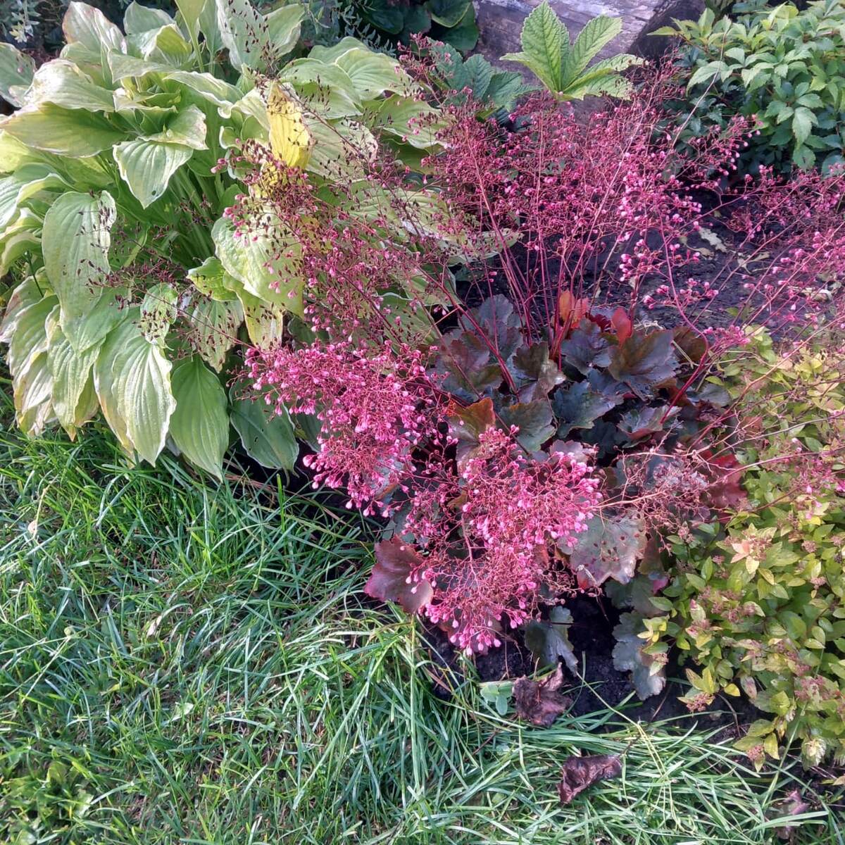 Все сдесь мне дорого