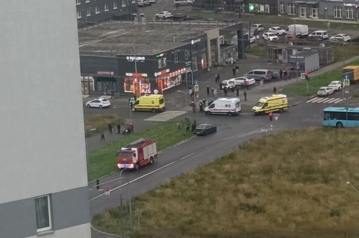    В Петербурге легковушка сбила женщину и двоих детей у ЖК «Цветной город»