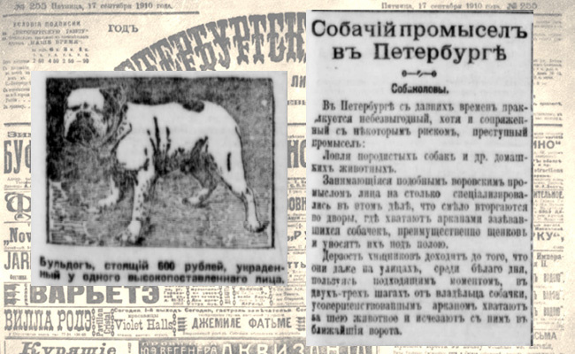 Бульдог, стоящий 600 руб, украденный у одного высокопоставленного лица.