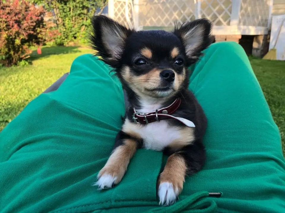    Фото: REGIONS/ Илья Попов