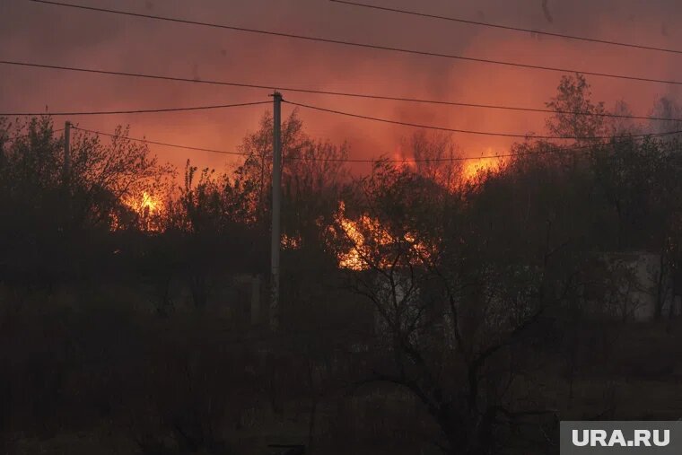 В Курганской области начали выносить решения по уголовным делам за пожары 2023 года. Фото: Екатерина Сычкова © URA.RU