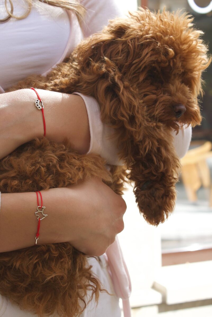 ✨ «Лапа друга» — знак доверия, преданности и безусловной любви.

✨ «Собачка» 🐾 — символ радости и верности, напоминание о том, что рядом всегда есть тот, кто ждёт и любит.