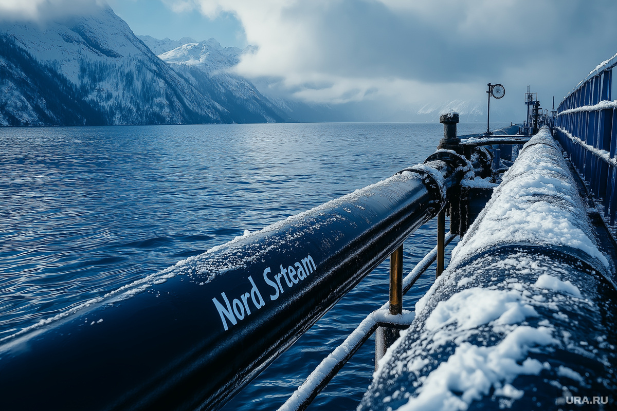 Дискуссия по взрывам на «Северных потоках» развернулась в партии АдГ. Фото: Создано в Midjourney © URA.RU