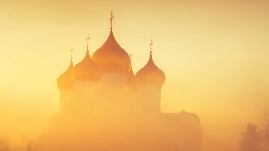    Фото: Dmitry Savin/shutterstock