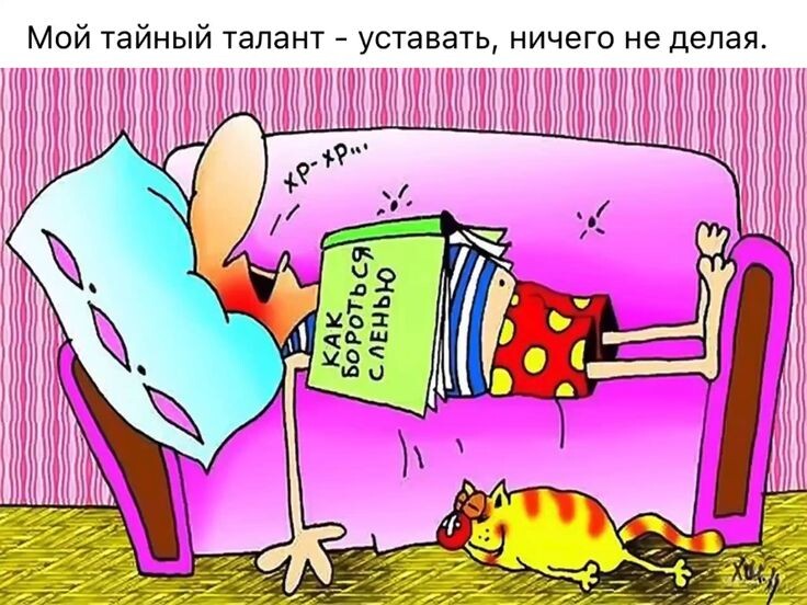 картинка из интернета