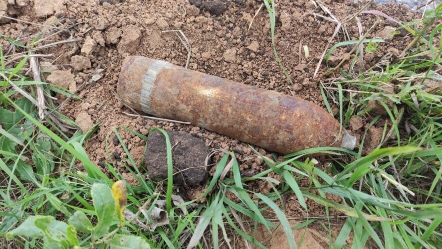    Фото: управление Росгвардии по Татарстану