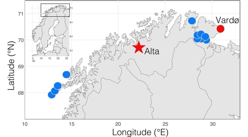   Tim Birkhead and Robert Montgomerie / Ibis, 2025