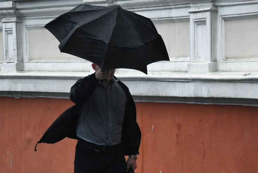     / Источник: © Виталий Аньков/РИА Новости