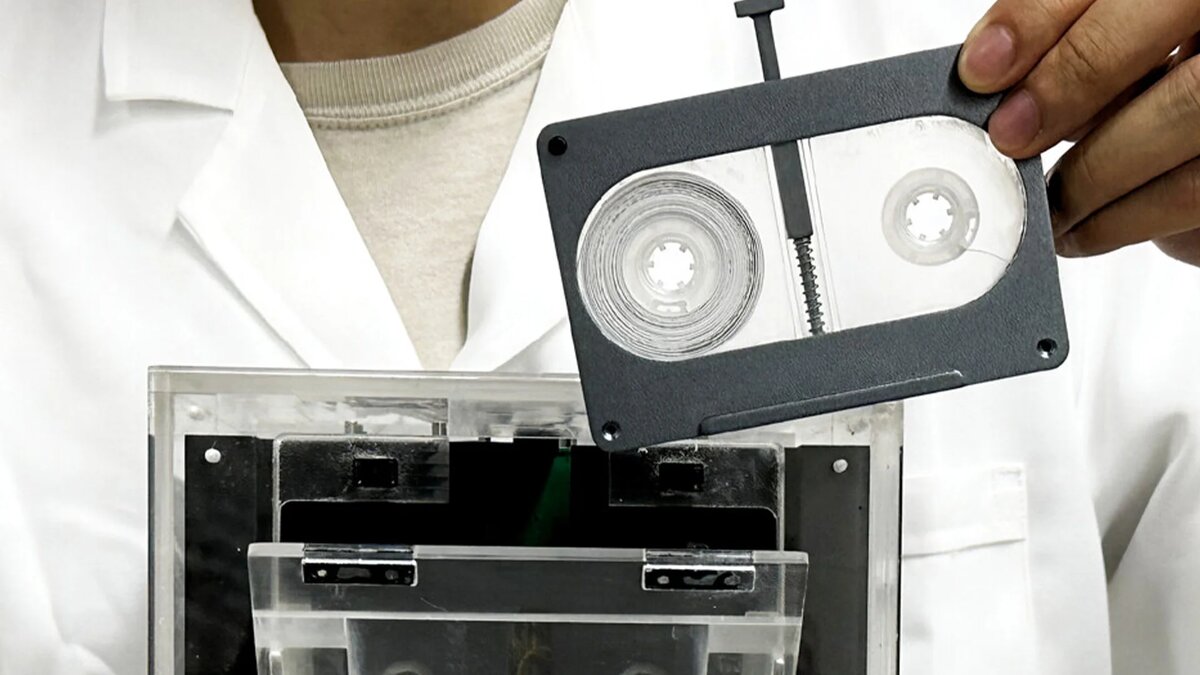 Фото: Science.org