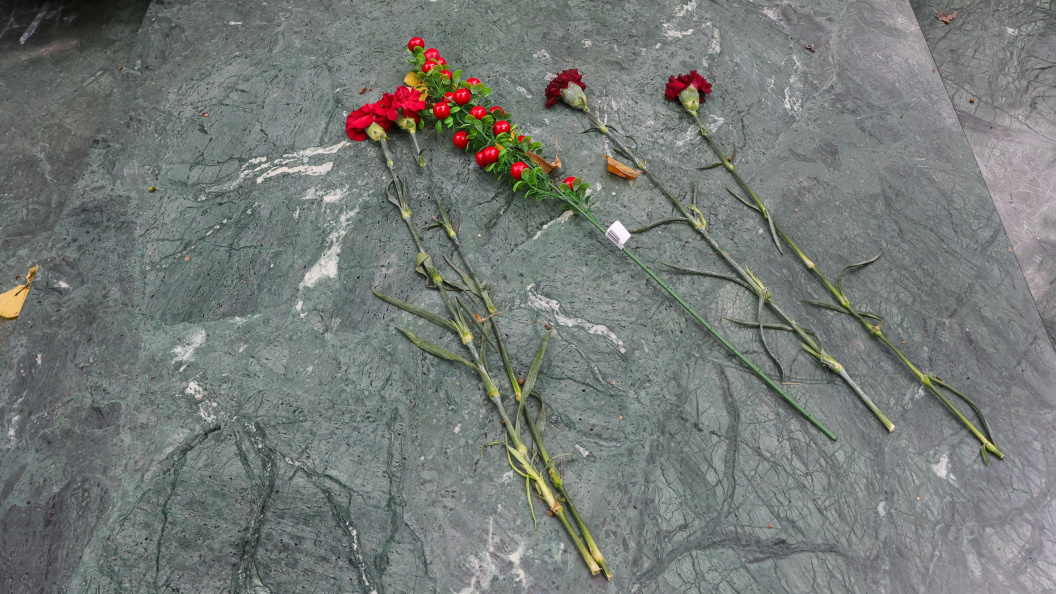    Shatokhina Natalia/news.ru/Globallookpress