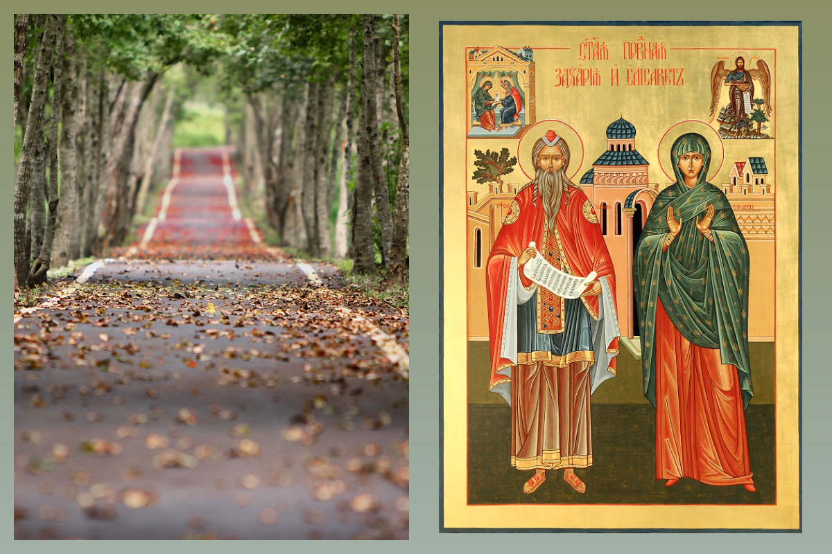 Прав. Захарий и Елисавета, осень/pixabay.com