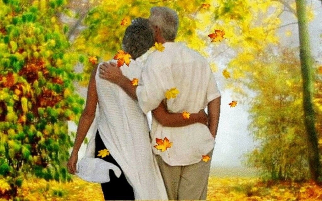 Картина из открытого источника сети Интернет. 