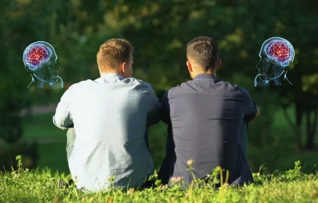 Возможно, люди дружат еще и потому, что их мозг функционирует аналогично.