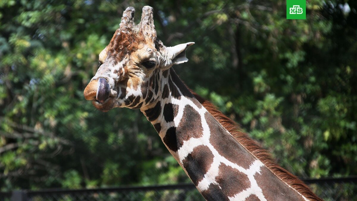    Фото: РИА Новости © 2025, Виталий Белоусов