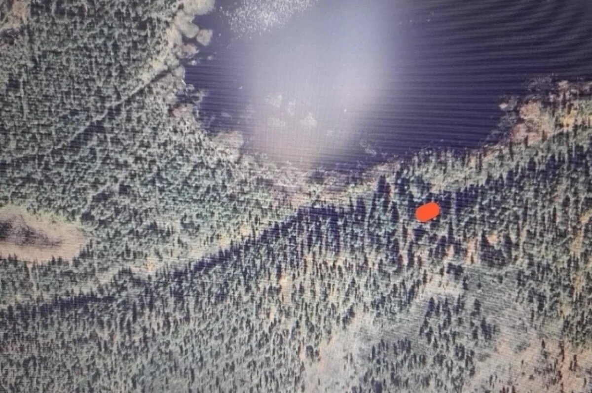    Древнее захоронение с конём случайно нашли в Якутии