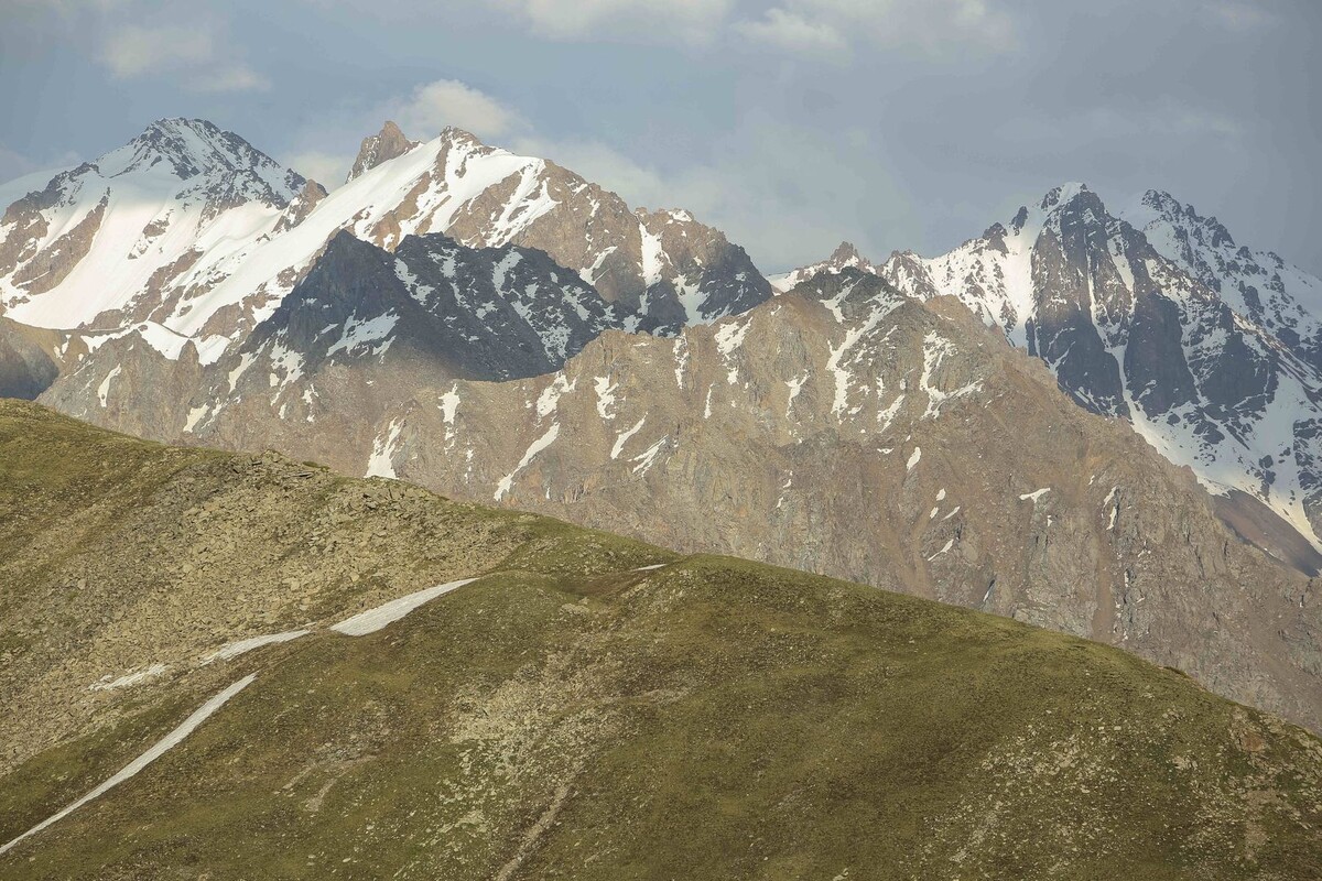     / Источник: © Global Look Press