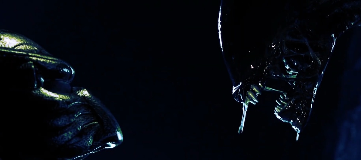 Чужой против хищника 