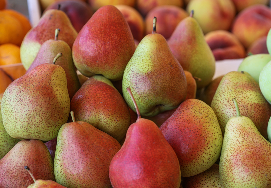    Сергей Булкин/NEWS.ru