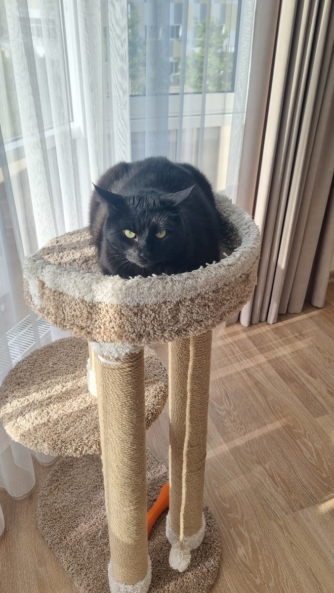 Читай по глазам, женщина! Я не в настроении.