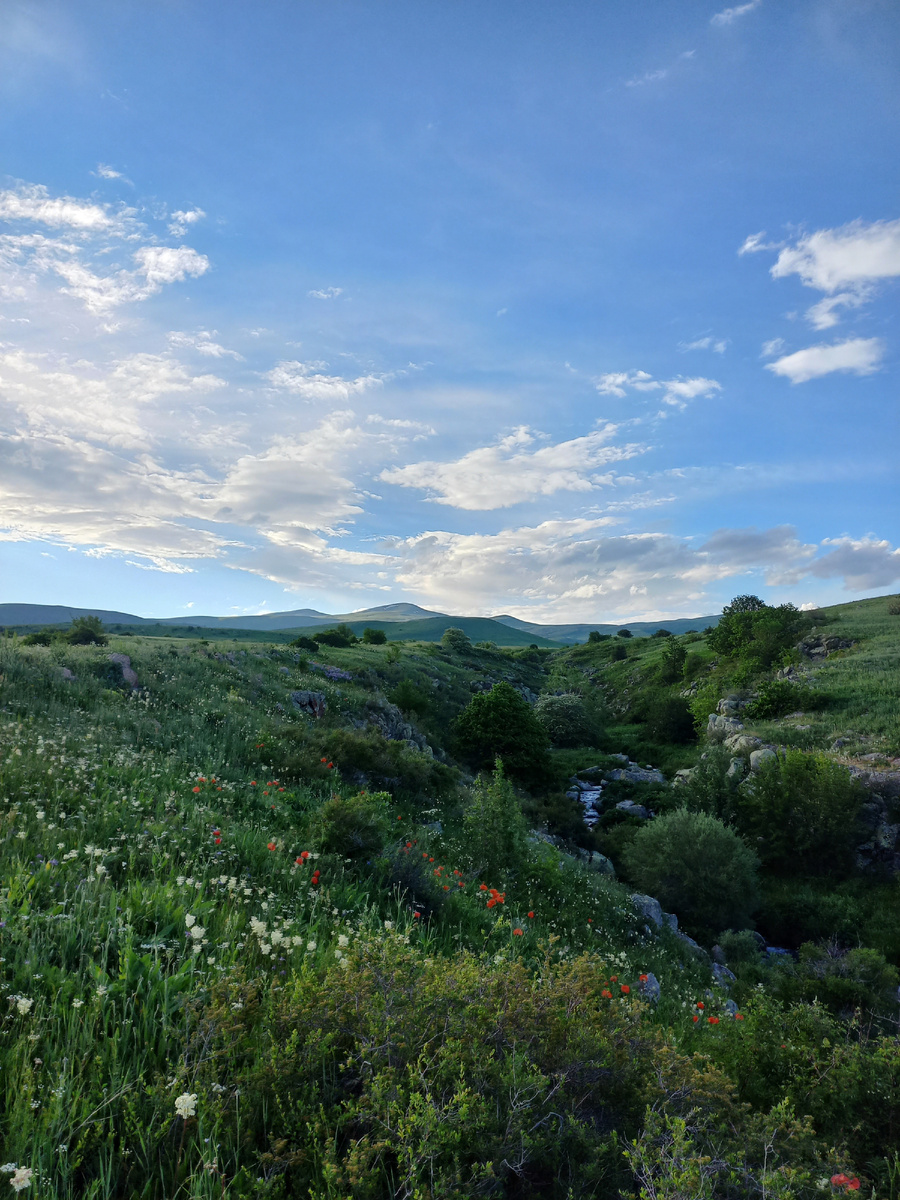 Ущелье рядом с городом Дилижан
