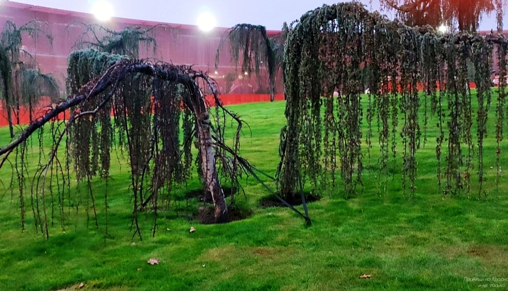 🌿💚🌿💖🌿💚🌿