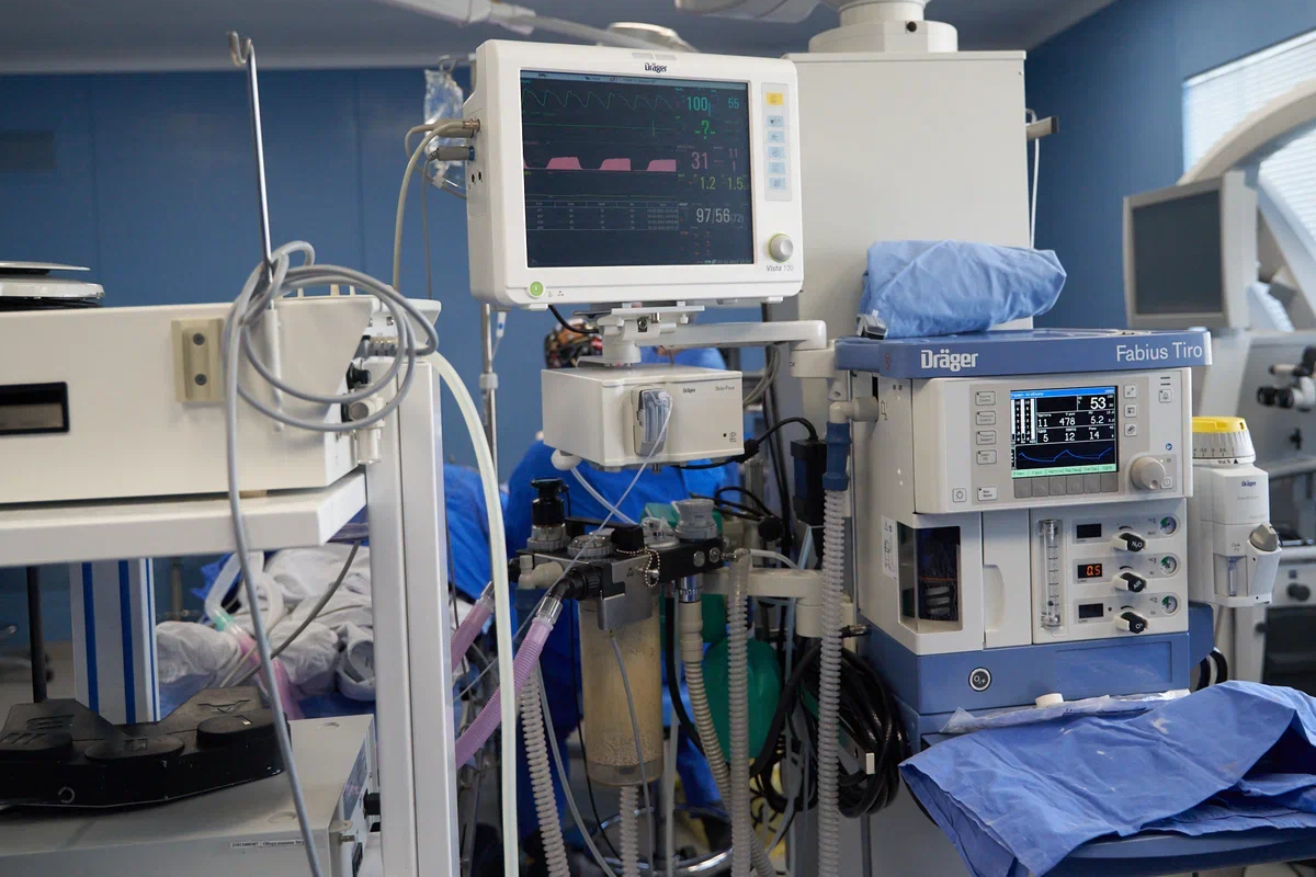    Фото: Лидия Аникина