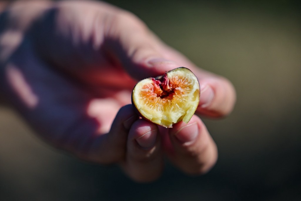    Фото © Алексей Коновалов / ТАСС
