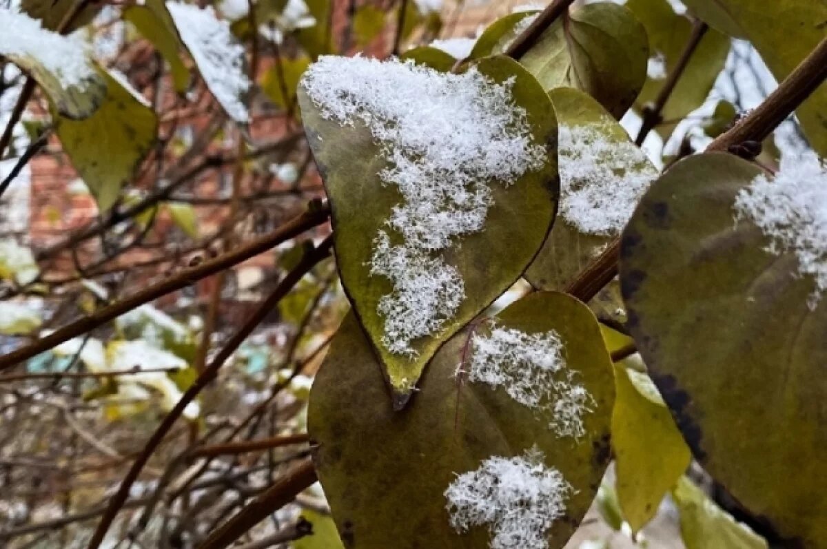   Первый снег в Пермском крае ожидается уже в конце сентября