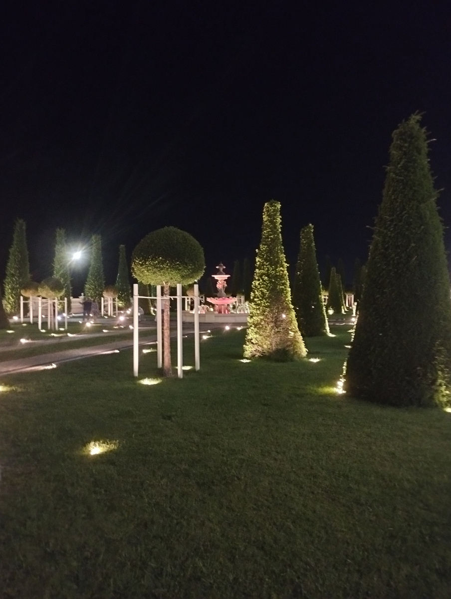 Фото автора. 