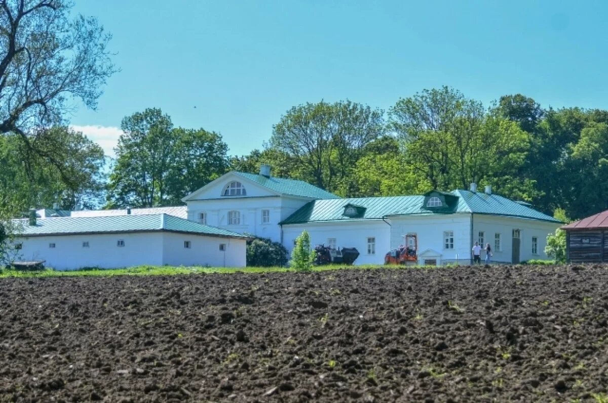    Музей-усадьбу «Ясная Поляна» украсят инсталляциями из отходов