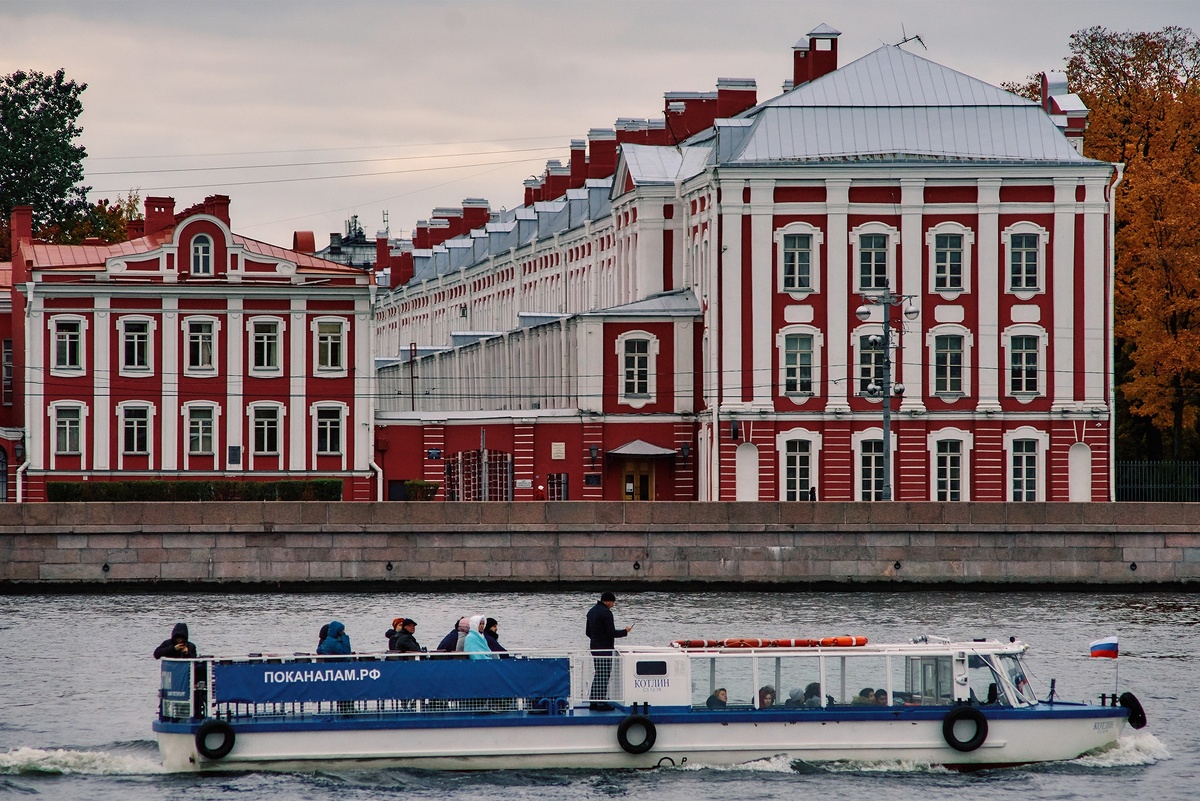    Каждый год в СПбГУ появляются новые программы, на сегодняшний день для поступления открыто 510 программ по разным уровням подготовки. / Фото: РИА Новости