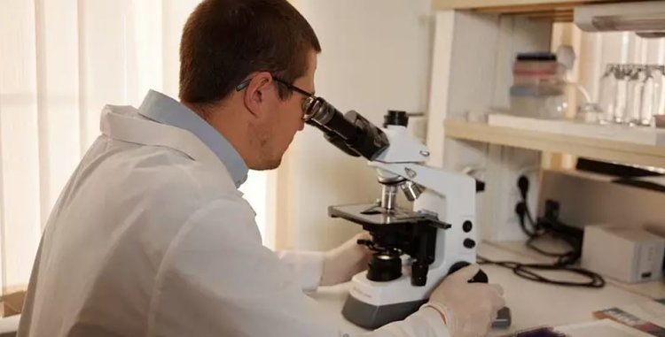    Фото: ФГБНУ «Уральский федеральный аграрный научно-исследовательский центр УрО РАН»