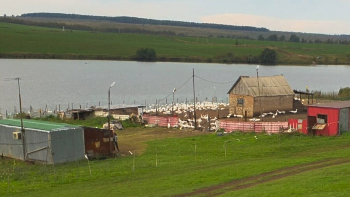 Фото: пресс-служба Министерства экологии и природных ресурсов РТ