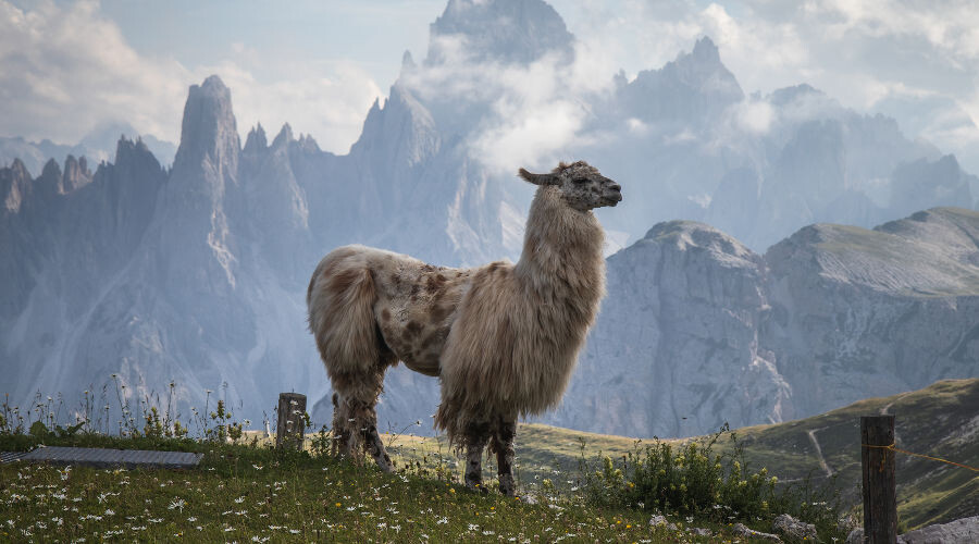   Фото wirestock, freepik.com