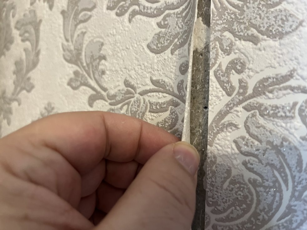 Последствие экономии на грунтовке, фото forum.motolodka.ru